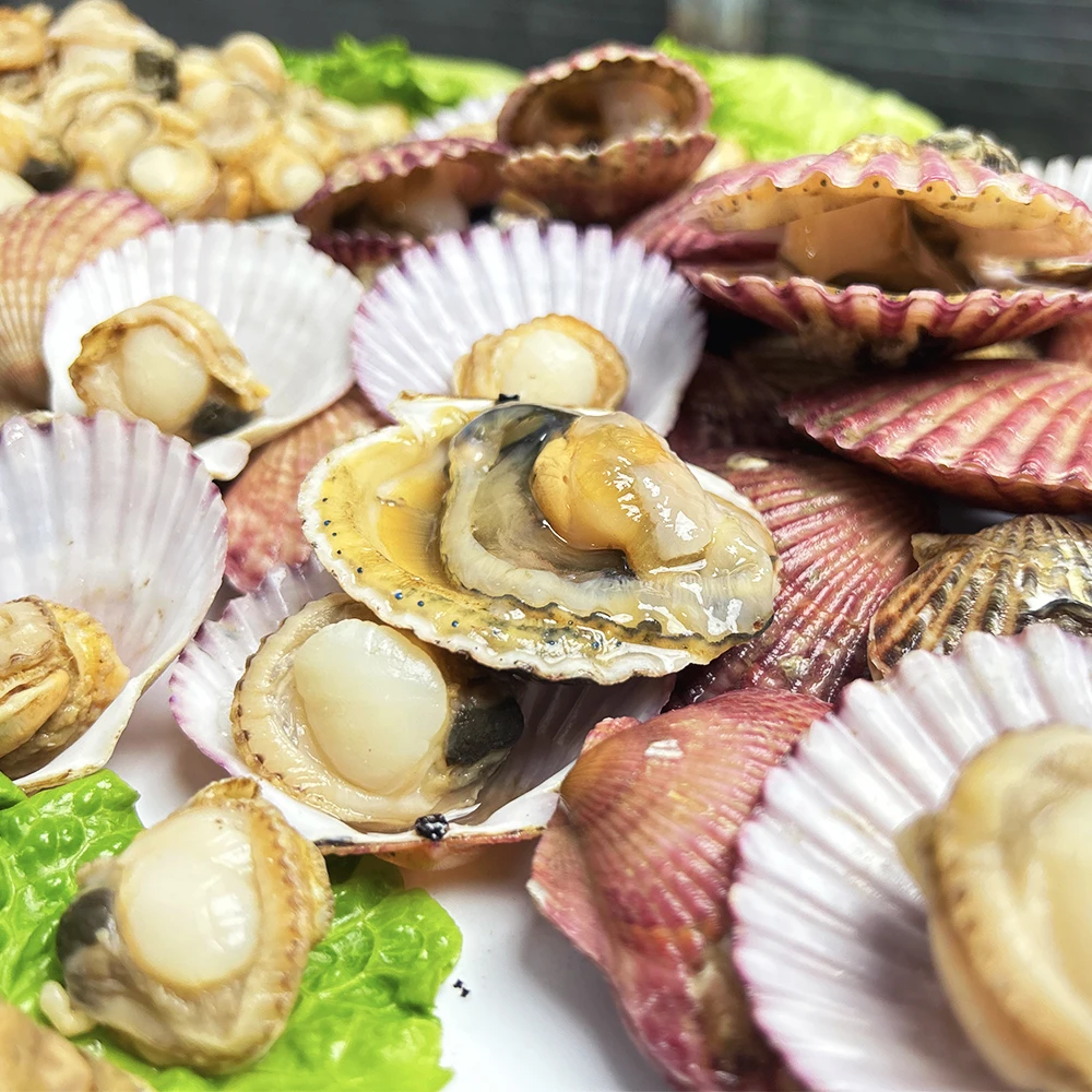 【顺丰包邮】扇贝肉港湾贝吃柱不包冰肉肥鲜美 5斤美味