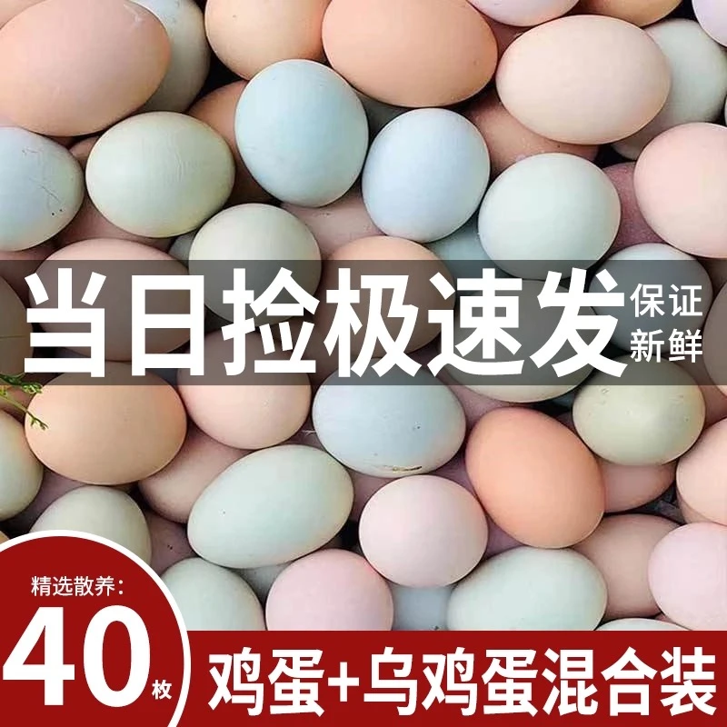 【10枚乌鸡蛋+30枚土鸡蛋】散养笨鸡蛋破损包赔现捡先发
