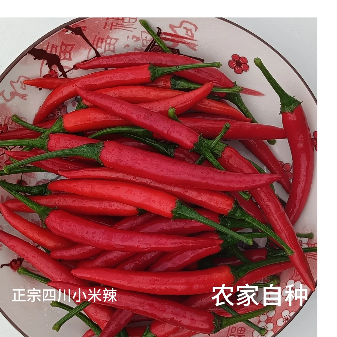 特辣小米椒新鲜农家自种正宗小米辣
