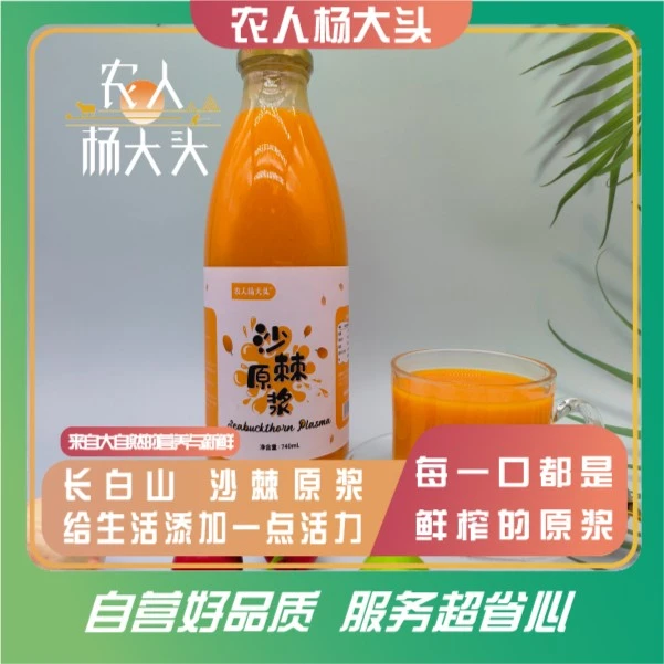 【杨大头】沙棘原浆鲜果榨取  740ml*2瓶/盒*1盒