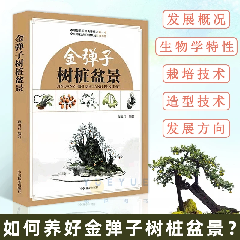【晟澜】金弹子树桩盆景 曹明君 金弹子盆景制作培育栽培造型