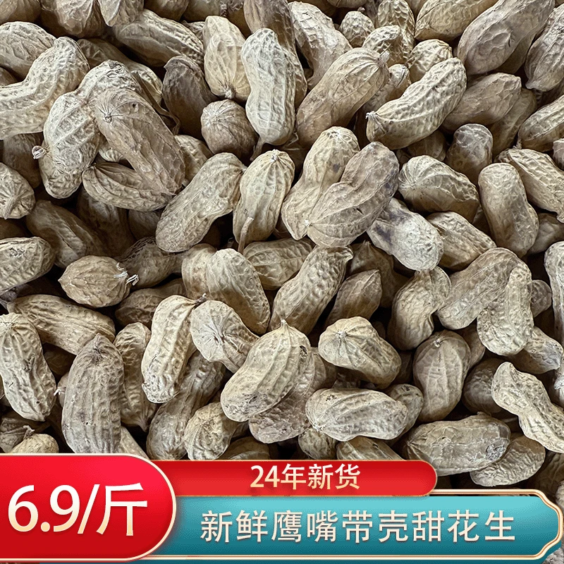 【甜花生】24年新鲜鹰嘴带壳花生精选花生