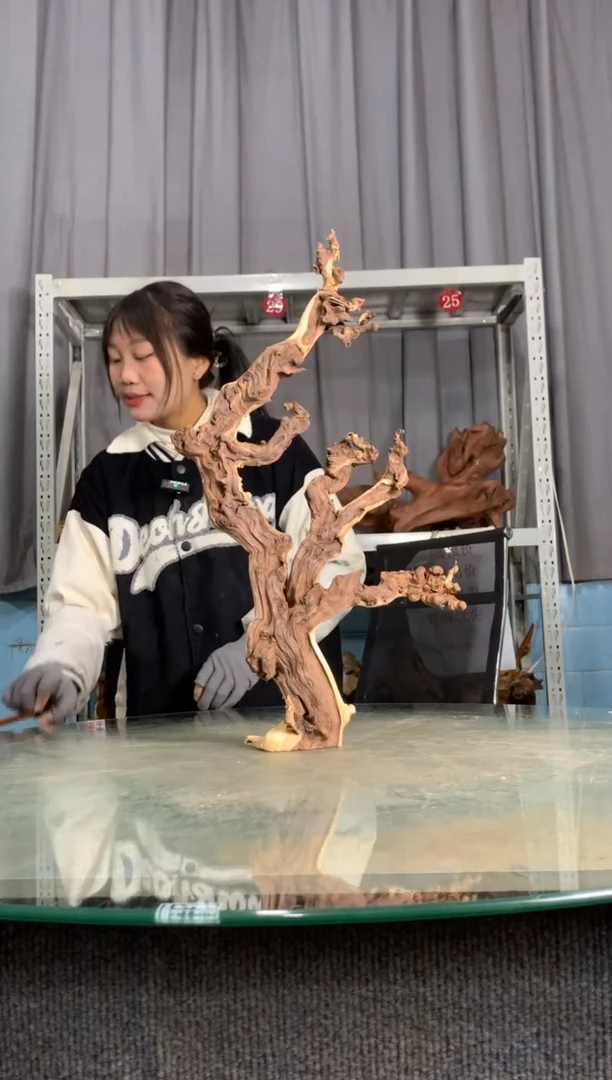 【闪购商品】金丝红木C992