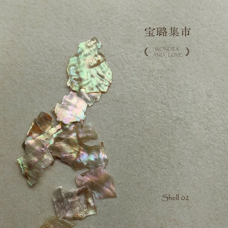 Bouvo Nail 宝璐天然彩色不规则超薄幻彩贝壳 02 美甲饰品素材