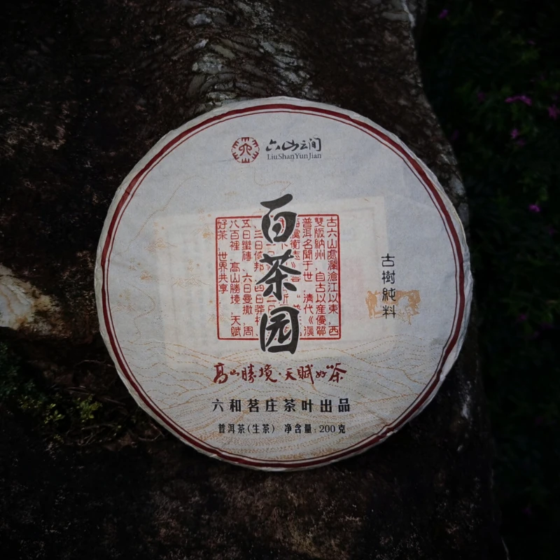 LIUSHANYUNJIAN/六山云间【2020年白茶园古树茶】古树春茶纯料200g