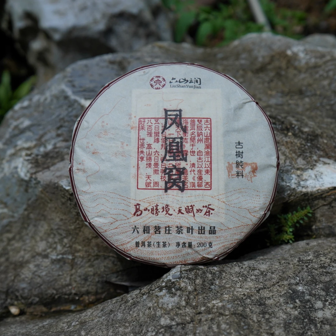 LIUSHANYUNJIAN/六山云间【2022年凤凰窝古树茶】古树春茶纯料200g