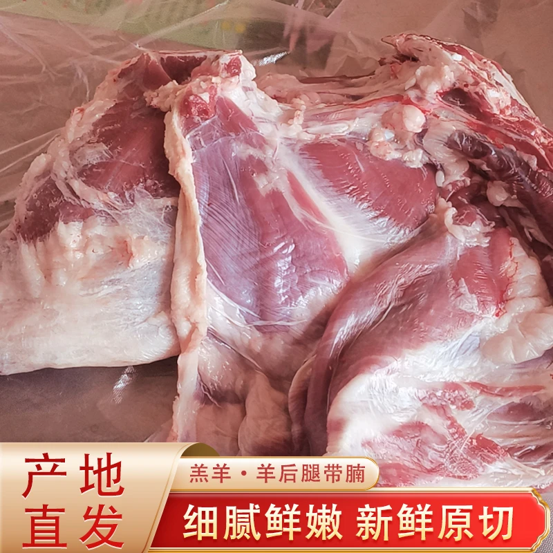 精选盐池滩羊羔羊肉新鲜原切羊后腿带腩清炖食材享受美味产地直发