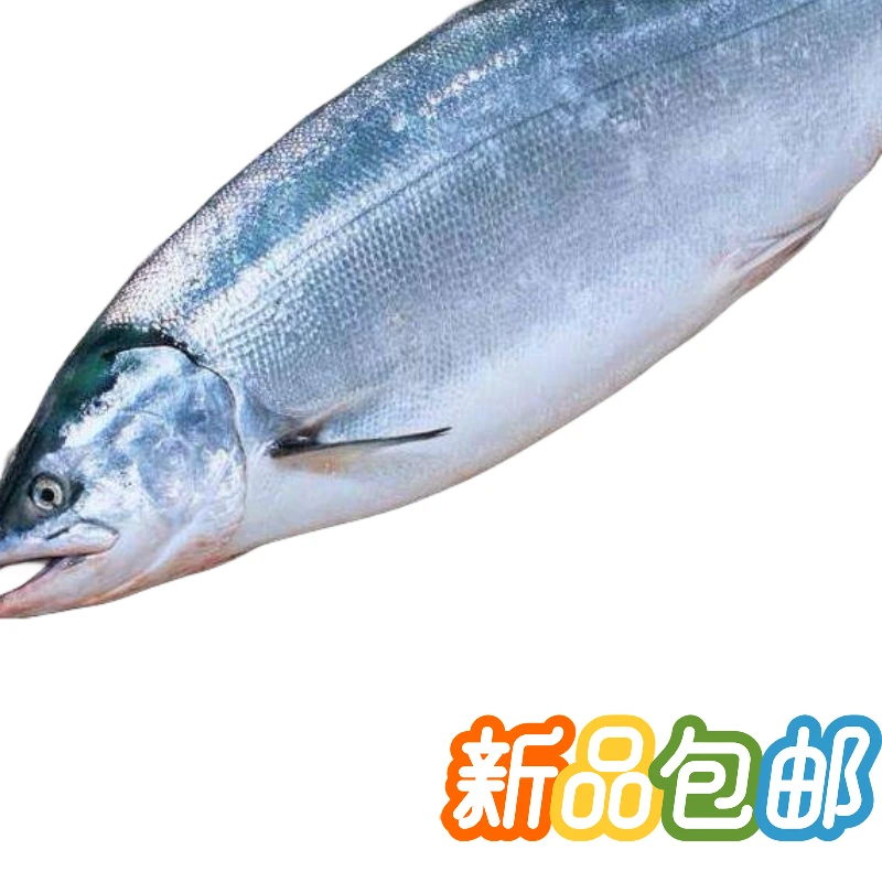 青海龙羊峡高原虹鳟鱼2斤左右一条