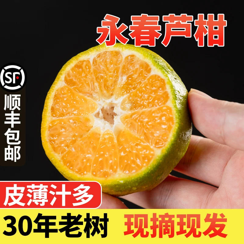 特价优惠正宗福建永春芦柑桔子新鲜橘子现摘当季清甜多汁孕妇水果