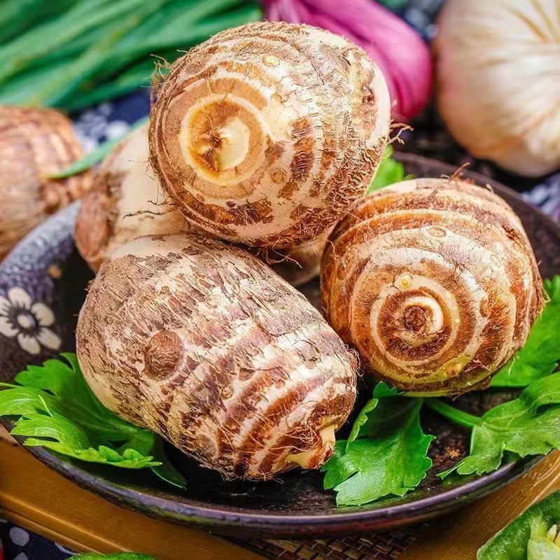 云南新鲜牛奶毛芋头3/5/9斤软糯粉面细腻农家原产地生态种植芋头