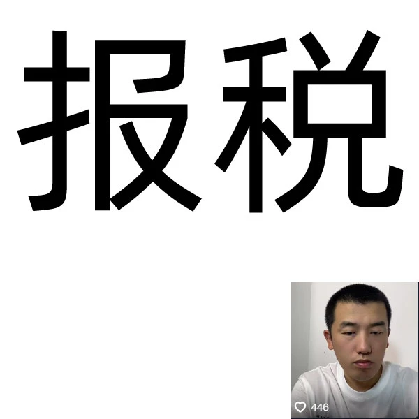会计报税（一般人、小规模公司+个体户）