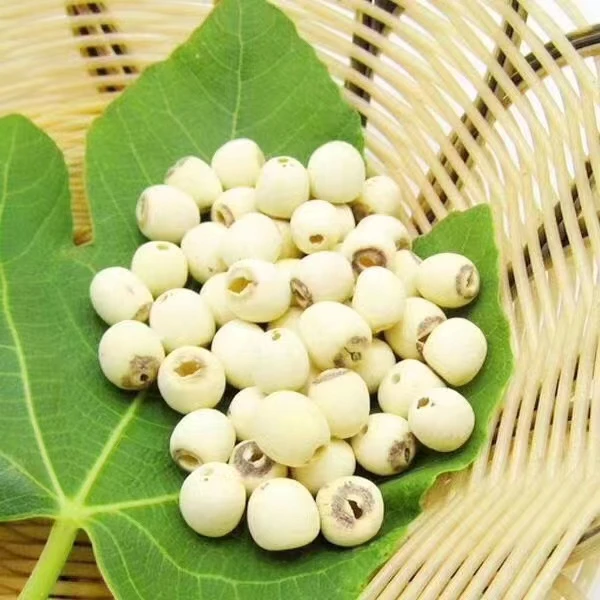 福建食尚三明建宁莲子250g/500g