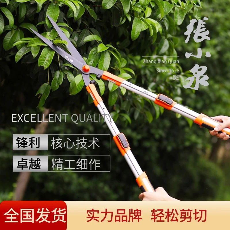 张小泉专用剪树枝修枝剪刀园林强力修剪枝绿化工具花剪园艺大剪刀