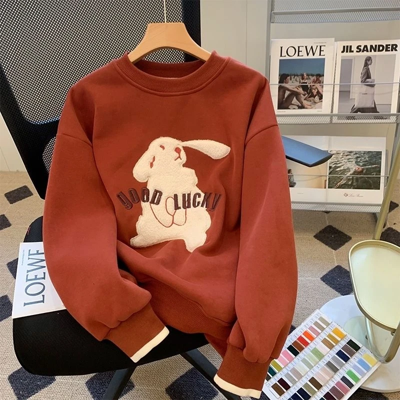 卫衣女2023年加绒加厚薄款设计感美式复古小个子圆领套头上衣