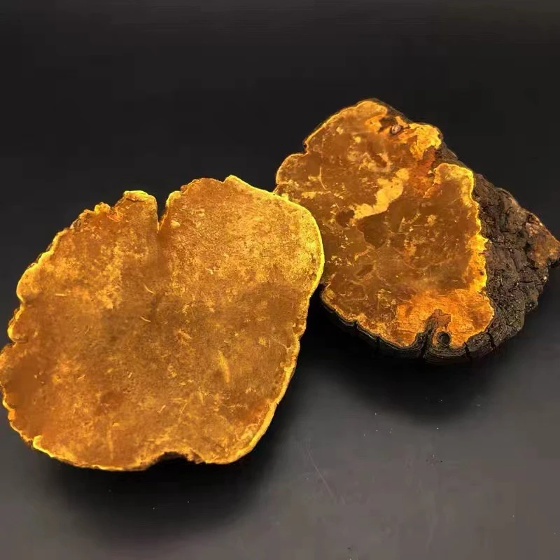 乡味甄选 现收 桑黄 500g