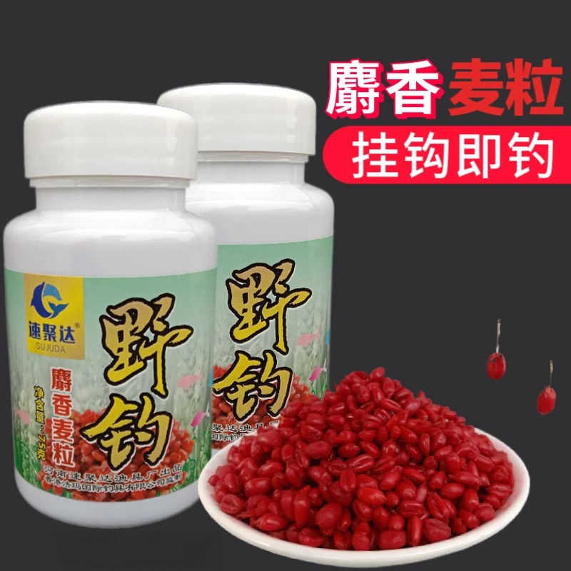 野钓谷麦逗钓饵料挂钩小麦饵聚攻垂钓麦粒钓鱼颗粒大板鲫鲤草窝料