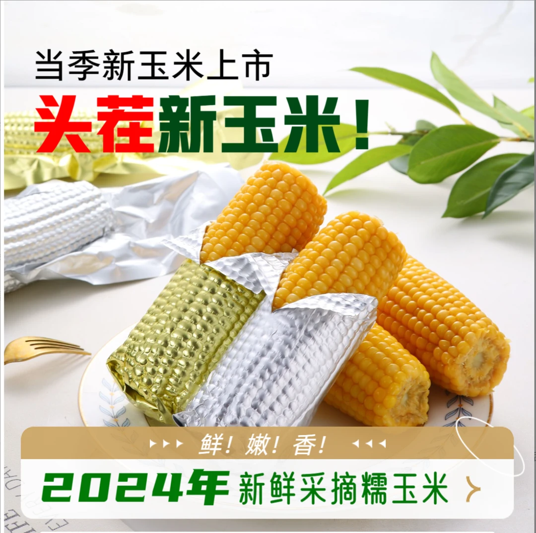 （试吃2根）2024新鲜采摘头茬黄甜糯玉米（银箔）单支220-240g*10支