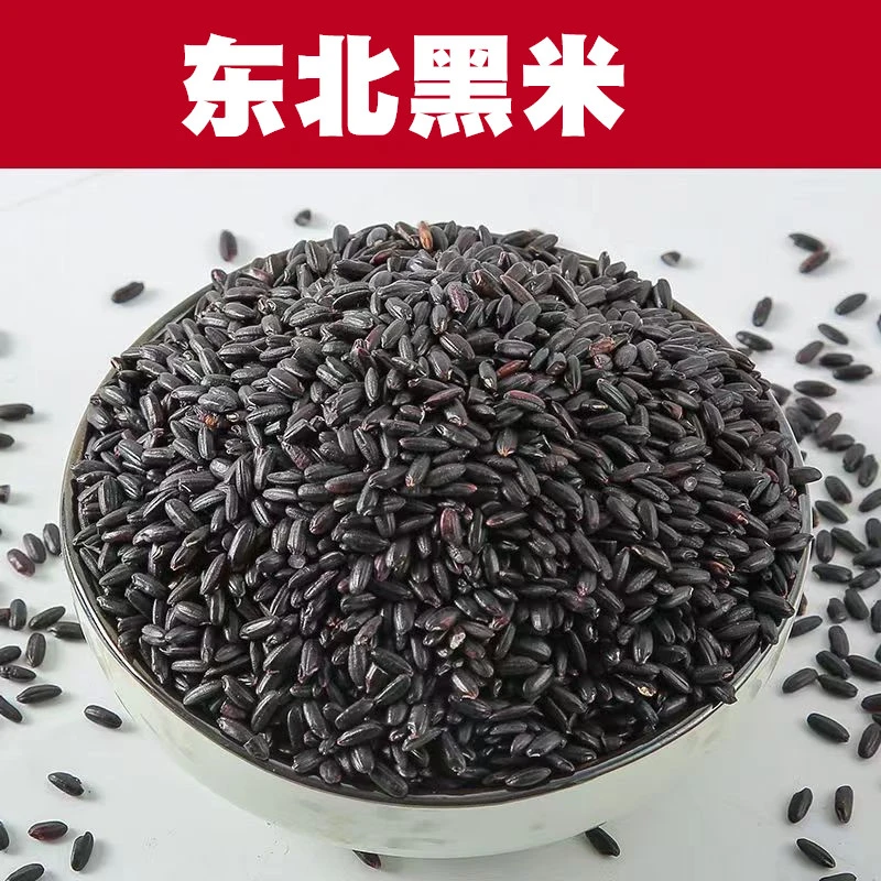 5斤黑香米星龙旺黑米新米东北黑大米紫米黑米粥原料农家无染色