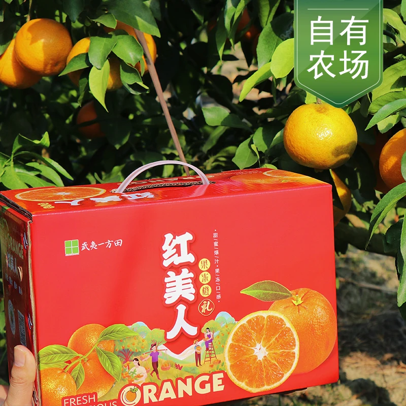 武夷一方田果冻橙爱媛28号果冻橙 新鲜当季水果柑橘桔子时令 带箱