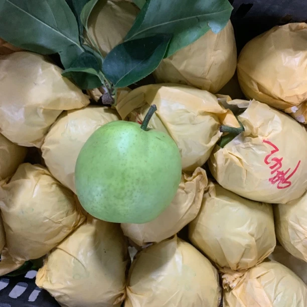 【百大合家康】精品翠玉梨5斤装应季节水果