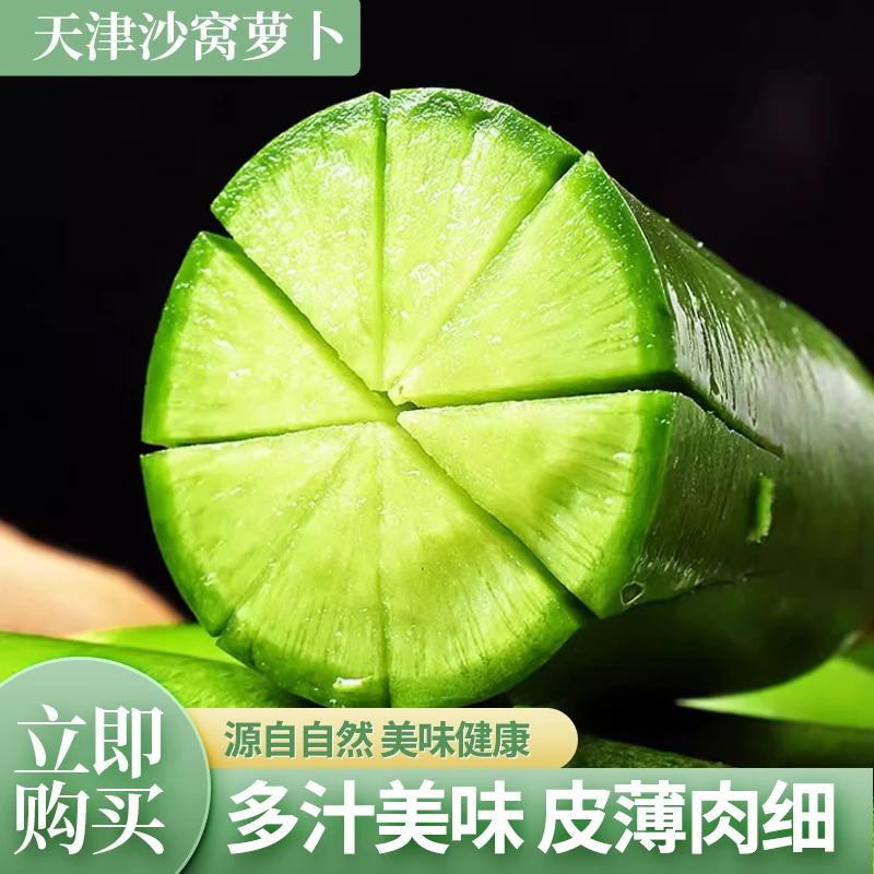 天津沙窝金星萝卜甜脆多汁农产品生吃水果萝卜产地直发礼盒款