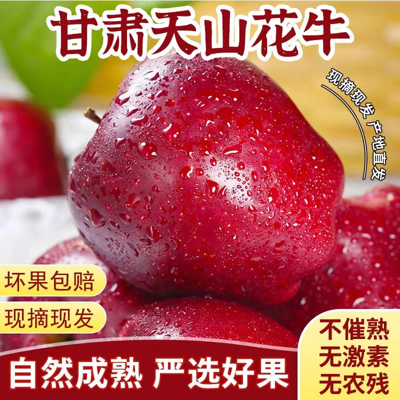 甘肃天水花牛苹果蛇果香甜多汁当季苹果宝宝辅食现摘现发带箱10斤