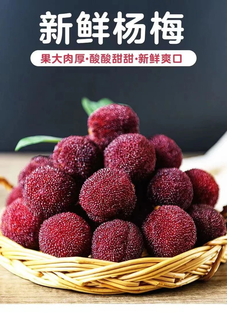 贵州杨梅新鲜现摘杨梅孕妇水果当季时令应季本地杨梅4斤