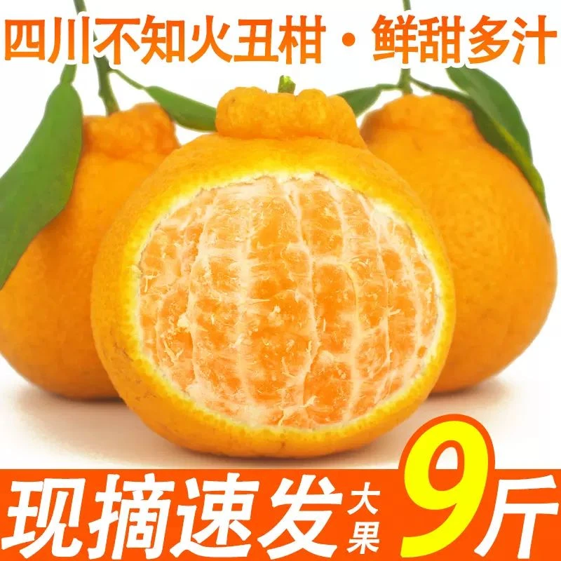 四川丑橘不知火丑八怪耙耙丑柑桔子当季新鲜水果整箱10现摘正宗