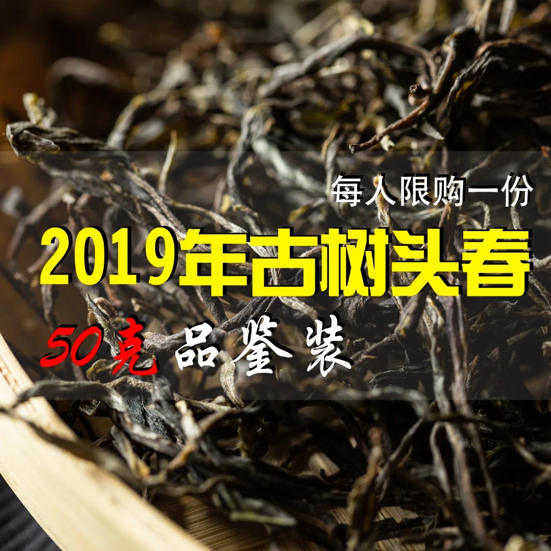 玉景班2019头春景迈山古树茶纯料散茶手工春茶花香品鉴正宗普洱茶