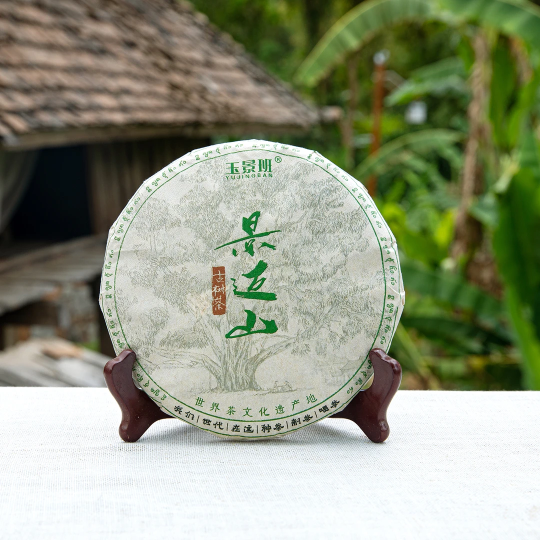 金奖茶园[挑采古树茶]春季景迈山普洱茶古树茶玉景班茶行茶叶直播