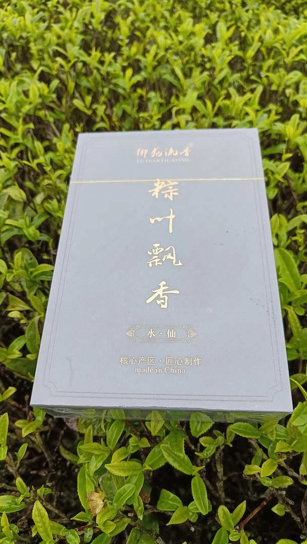 武夷岩茶粽叶飘香水仙