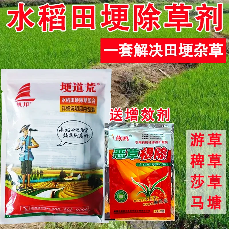 水稻田埂除草剂稗草牛筋草水花生游草除草剂田埂专用除草剂高浓度