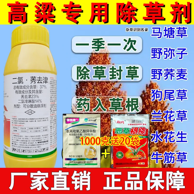 高粱除草剂高粱专用除草剂37%二氯莠去津除草封闭高粱专用除草剂