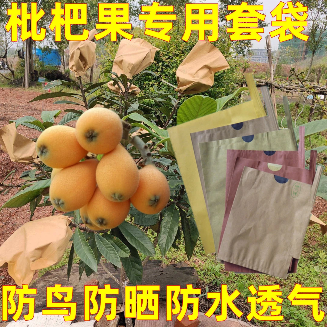 枇杷防鸟专用套袋柑橘莲雾水果套袋枇杷防晒防虫保护纸果袋子批发