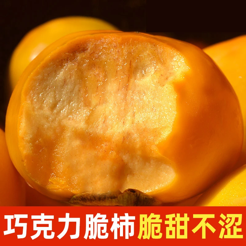 【脆甜不涩】山西阳丰巧克力糖心脆柿子甜脆柿硬柿子新鲜水果5-9斤
