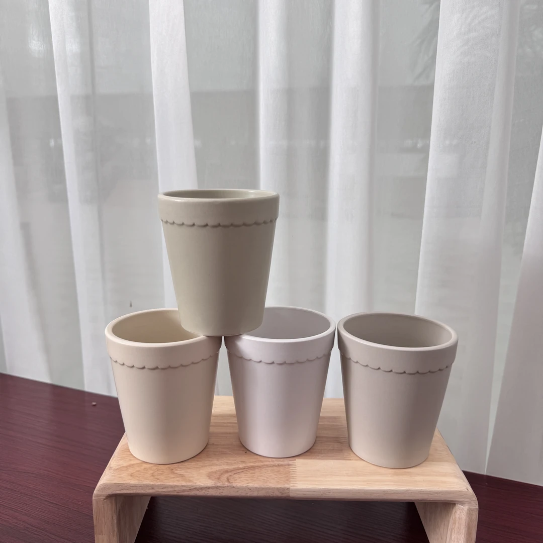 四色奶油杯单棵蝴蝶兰盆