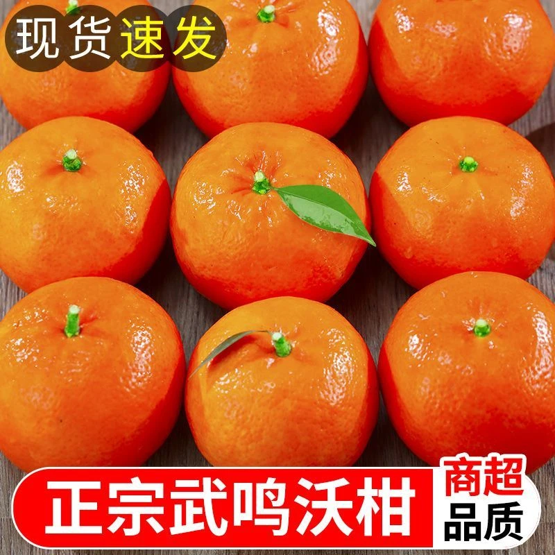【果园直发】新鲜沃柑正宗广西武鸣现摘应季水果超甜蜜橘橙桔整箱99
