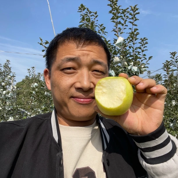 【顺丰发货】陕西白水瑞雪苹果纯甜口净重4.5斤装包邮