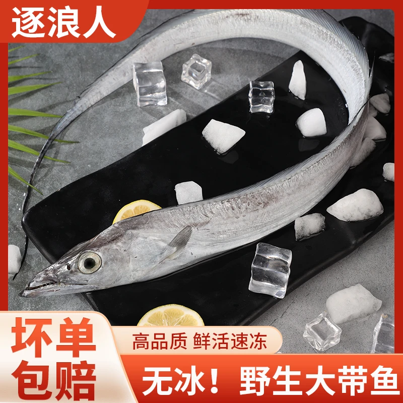 【野生海捕鲜带鱼】 3-4两/条 到手13-14条 拍4送1（无破肚）D