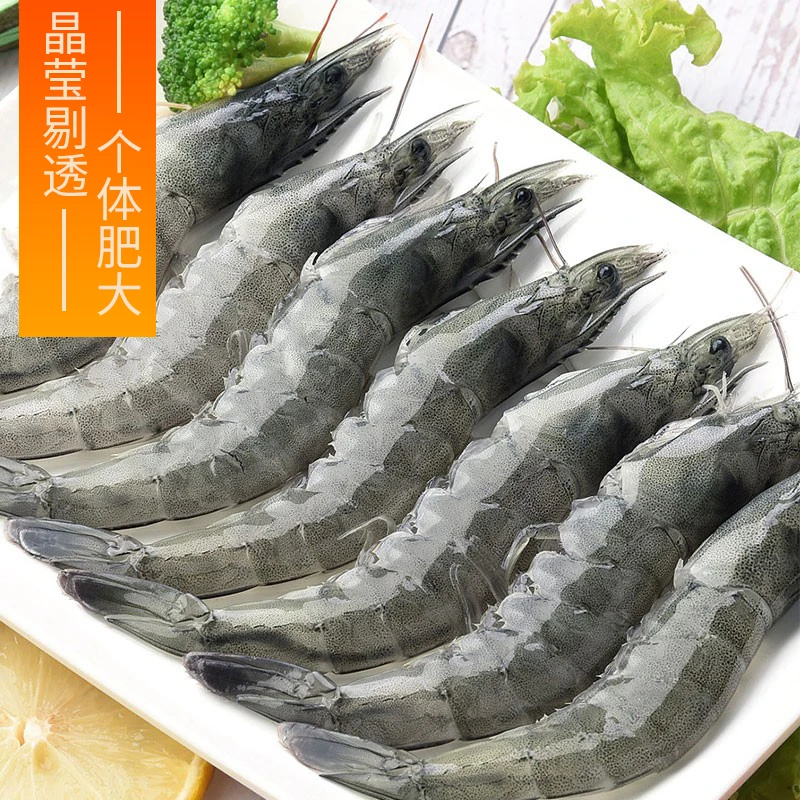 2030海水大虾日照发货 净重3.3斤顺丰包邮