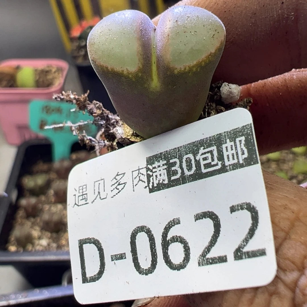 A**.11111111111111111111111