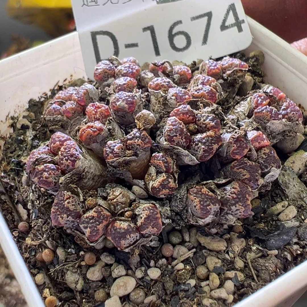 1111111111111111111111