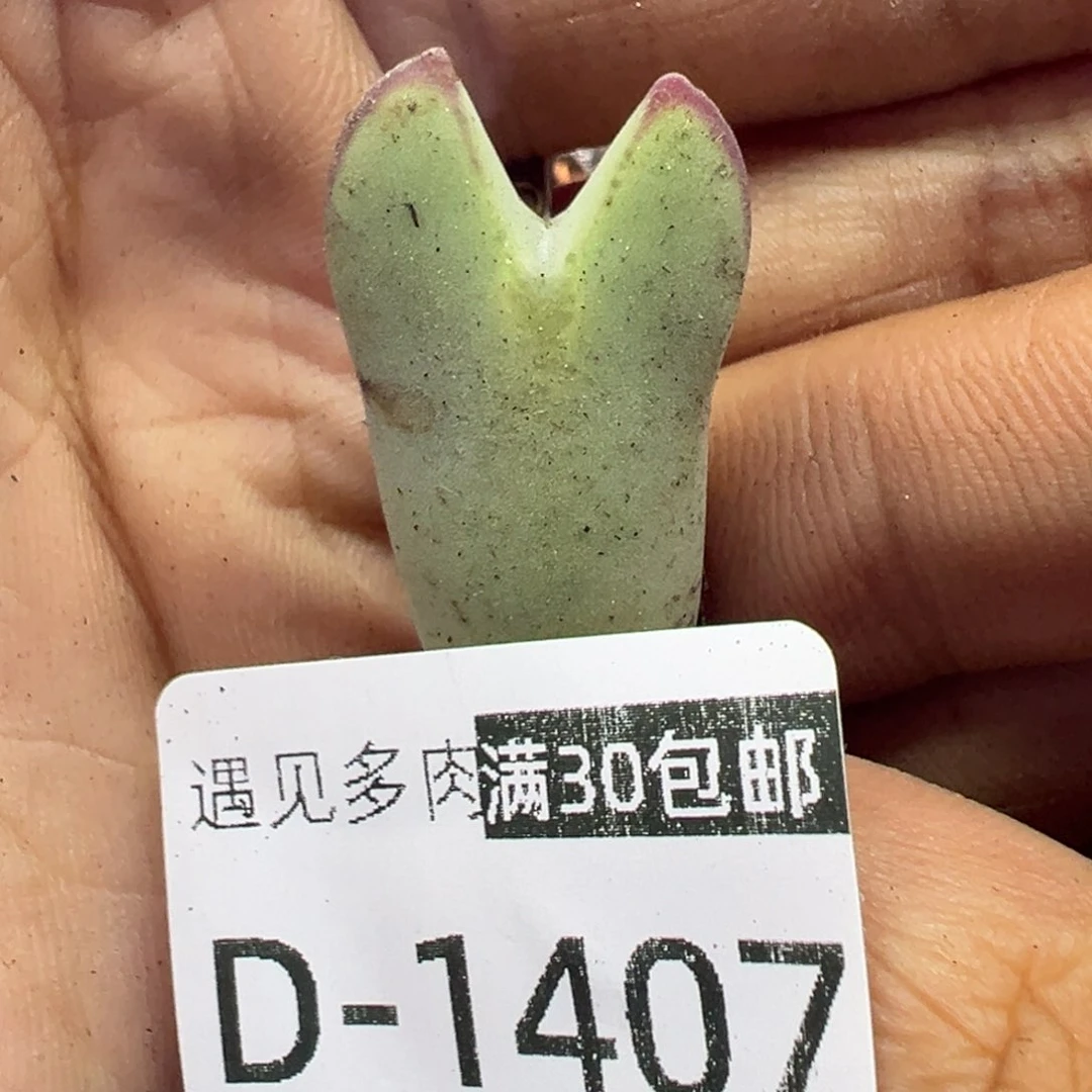 1111111111111111111111