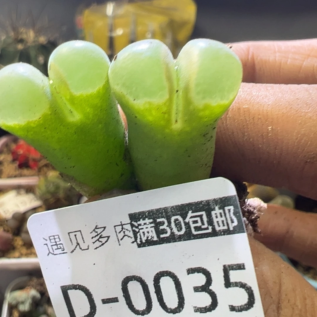 11111111111111111111