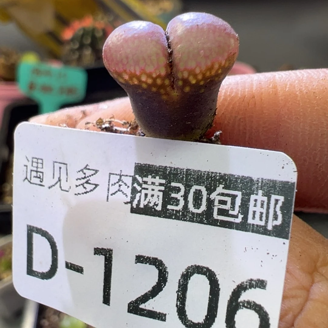 111111111111111111111111