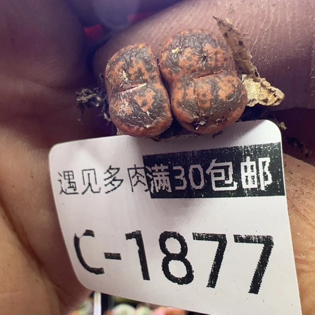 11111111111111111111