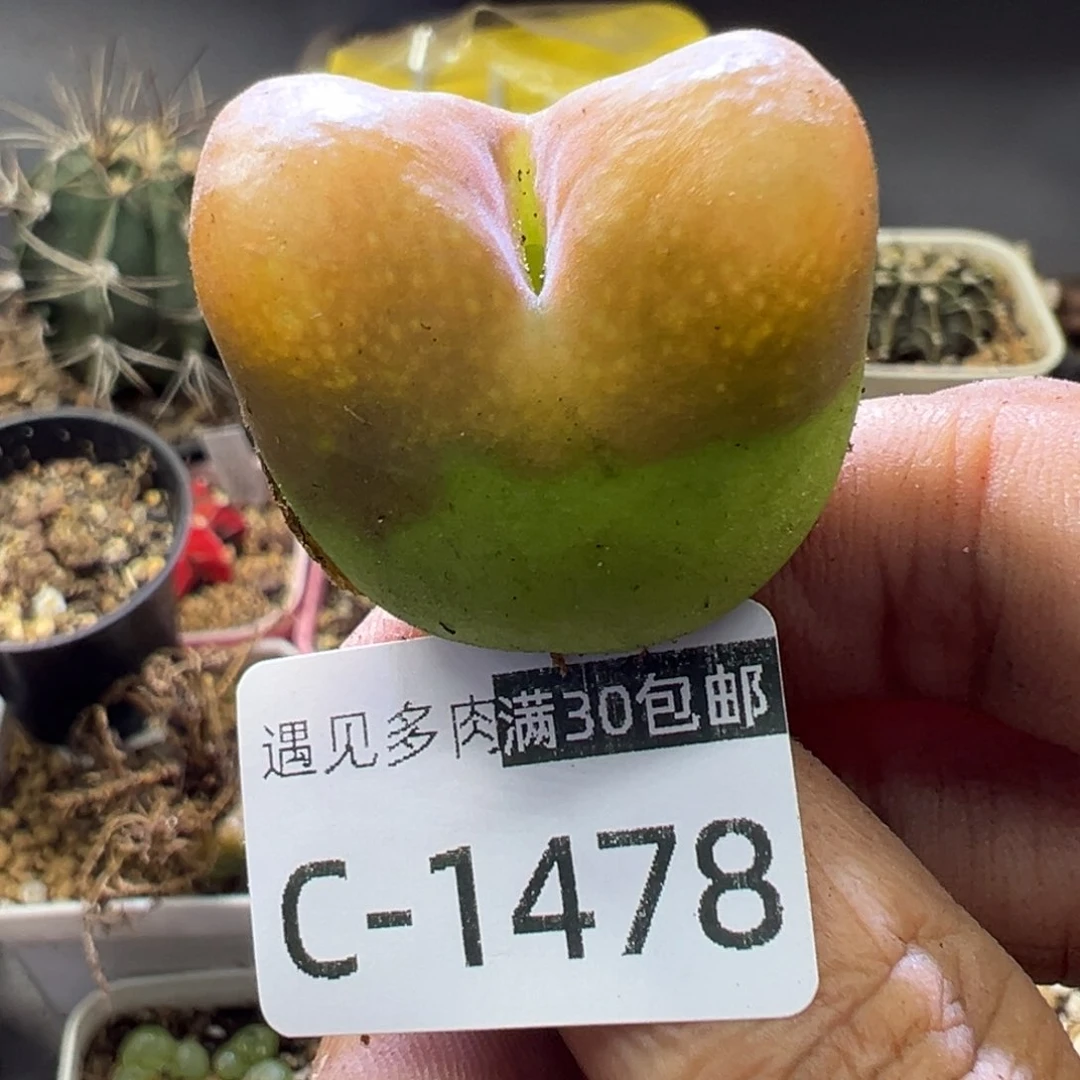 1111111111111111111111