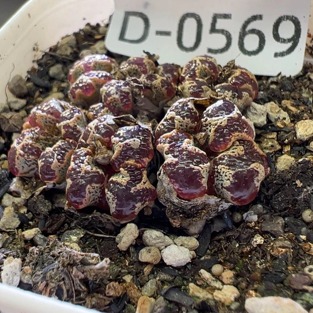 1111111111111111111111111111