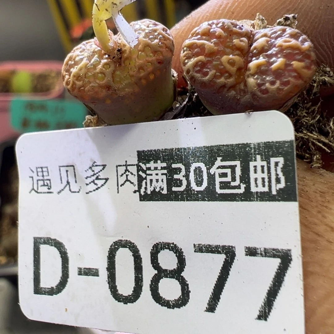 111111111111111111111