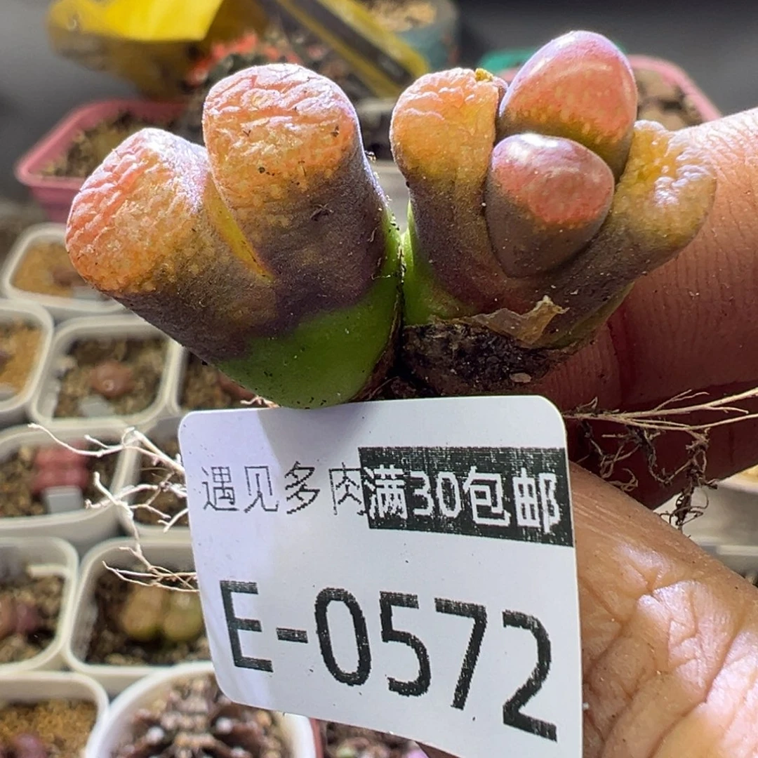 11111111111111111111